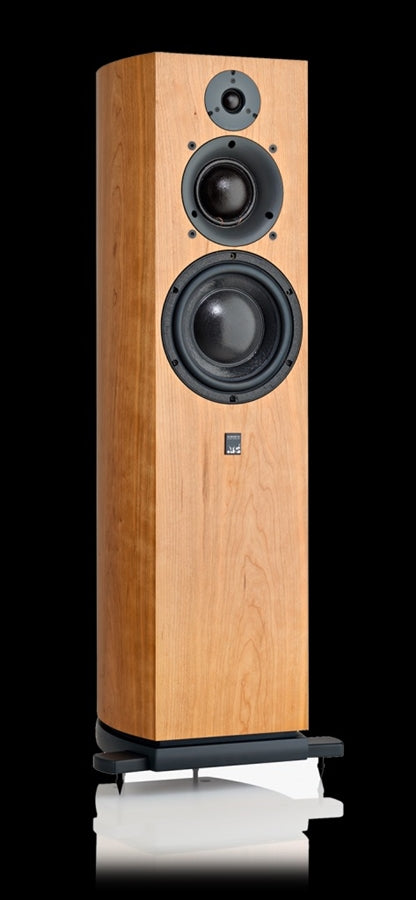 The ATC SCM40A does it all - great sound from this powered speaker!