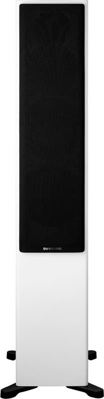 The Dynaudio Evoke 50 are a great value and one of the finest speakers in their price range. Highly recommended!