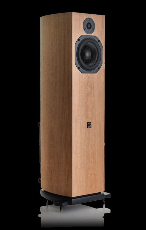 The ATC SCM19AT are an excellent floorstanding powered speaker!