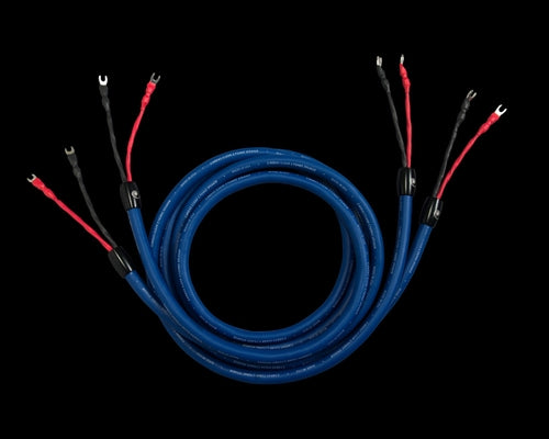 The Cardas Clear Cygnus speaker cable delivers like the big boys at a nice price!