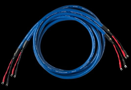 Cardas Clear Sky Speaker cable delivers Clear quality on a smaller budget. Highly recommended!