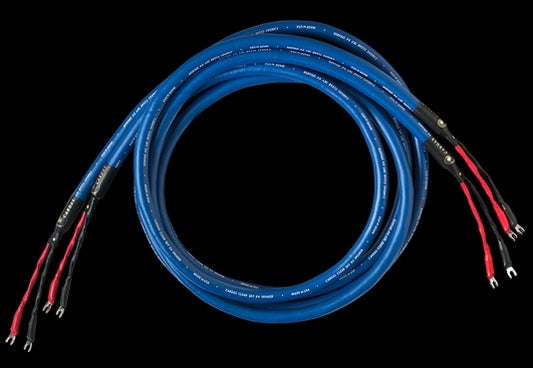 Cardas Clear Sky Speaker cable delivers Clear quality on a smaller budget. Highly recommended!